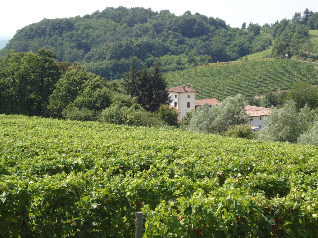 Château des Alouettes – Rhône