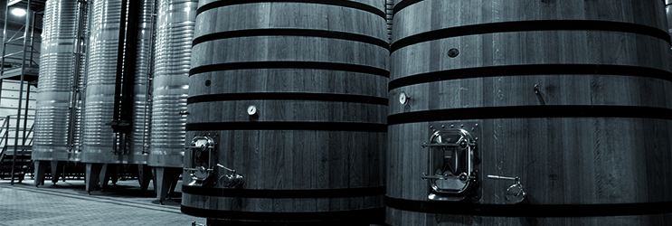 Bodegas Enguera – Valencia