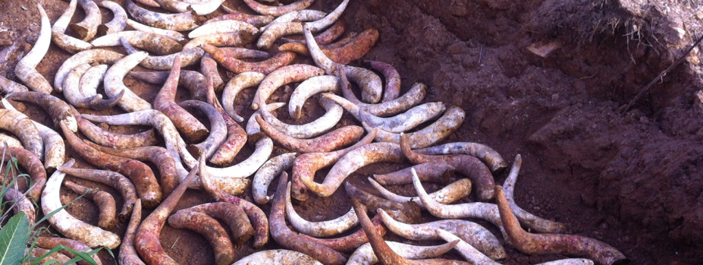 Bodegas Los Frailes – Valencia