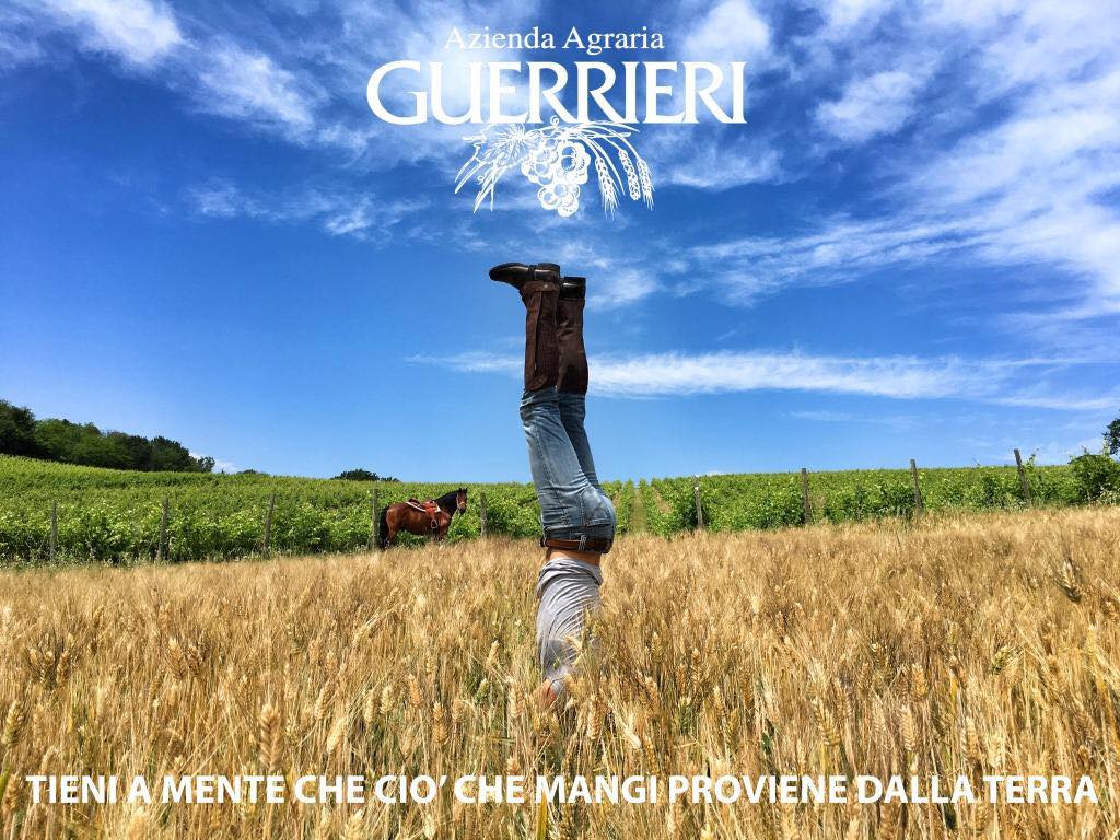 Guerrieri – Marche