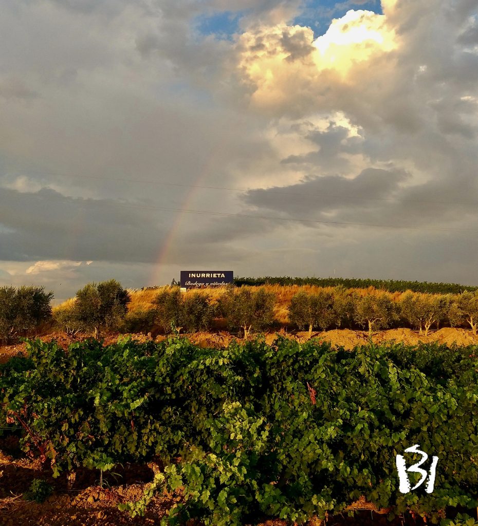 Bodega Inurrieta – Navarra