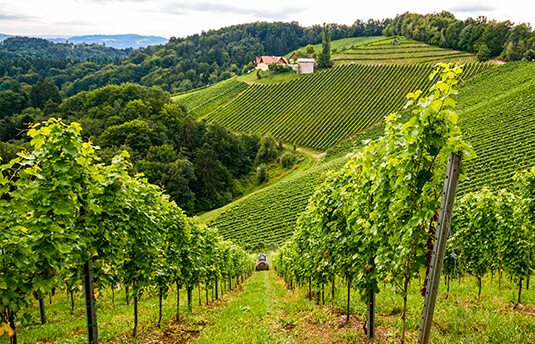 Nittnaus Hans und Anita – Burgenland