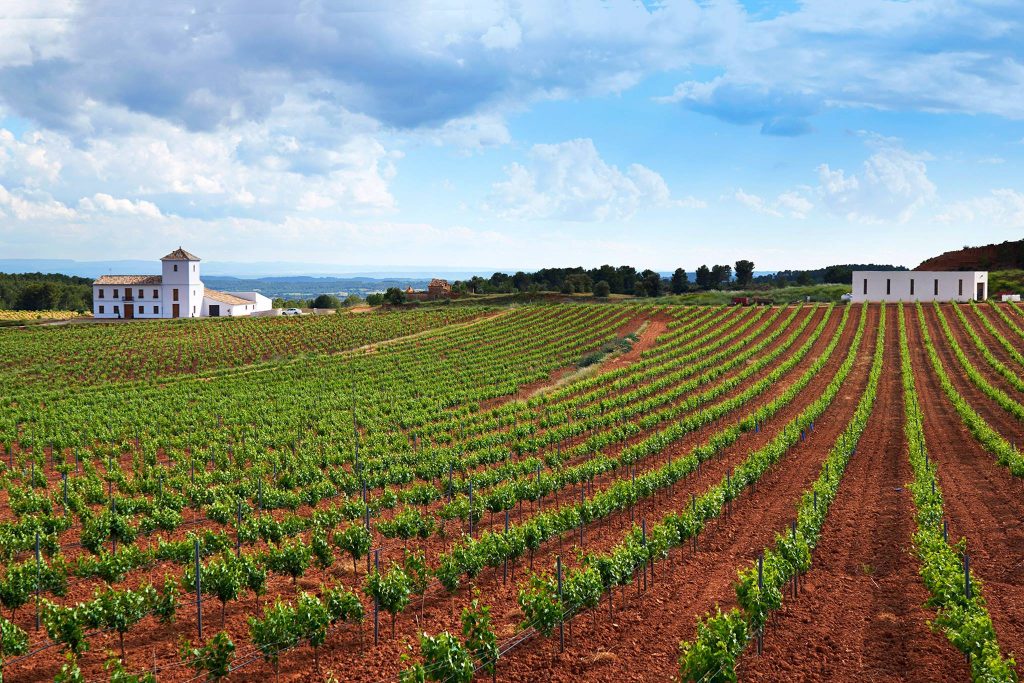 Bodega Montesanco – Valencia