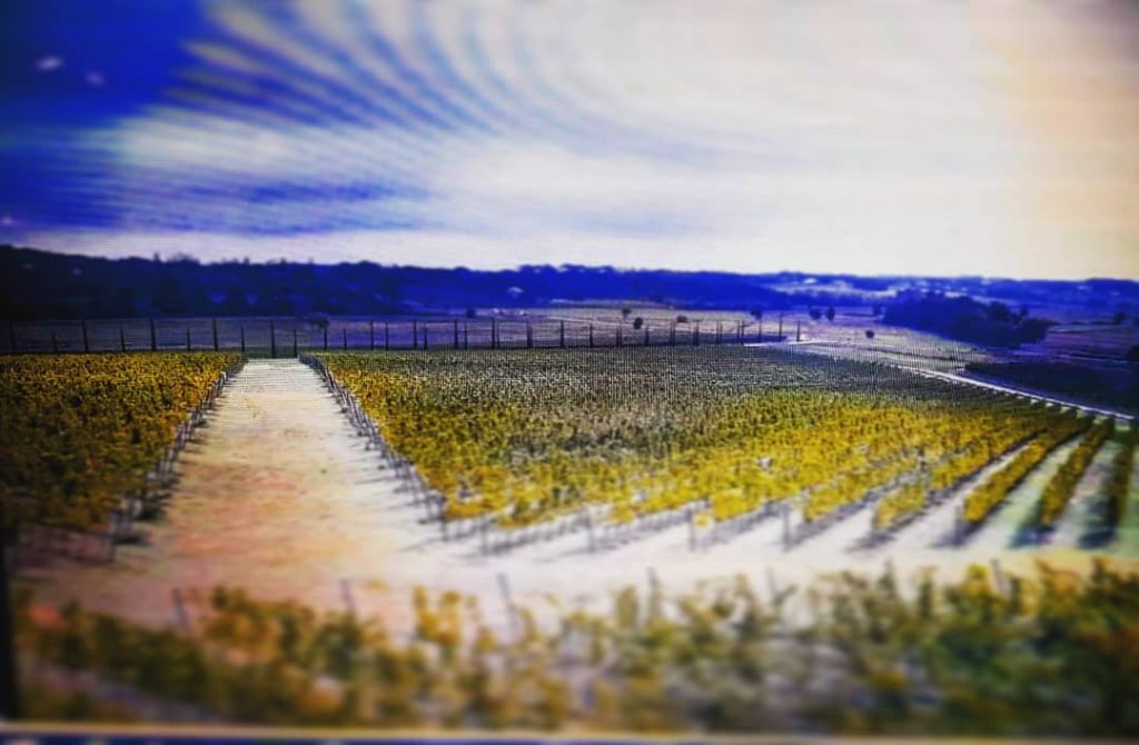 San Ferdinando – Toscane